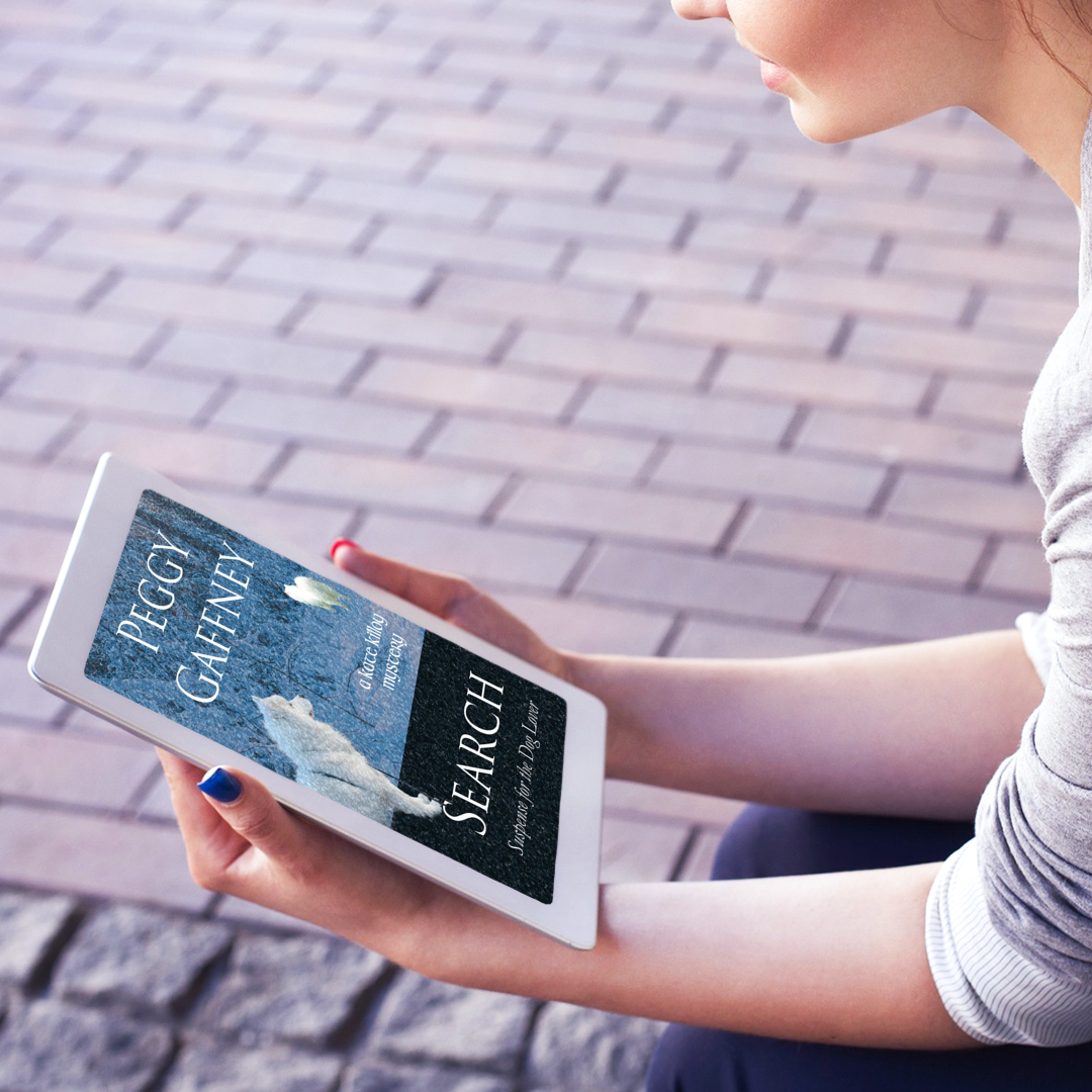 4. Search: A Kate Killoy Mystery - eBook