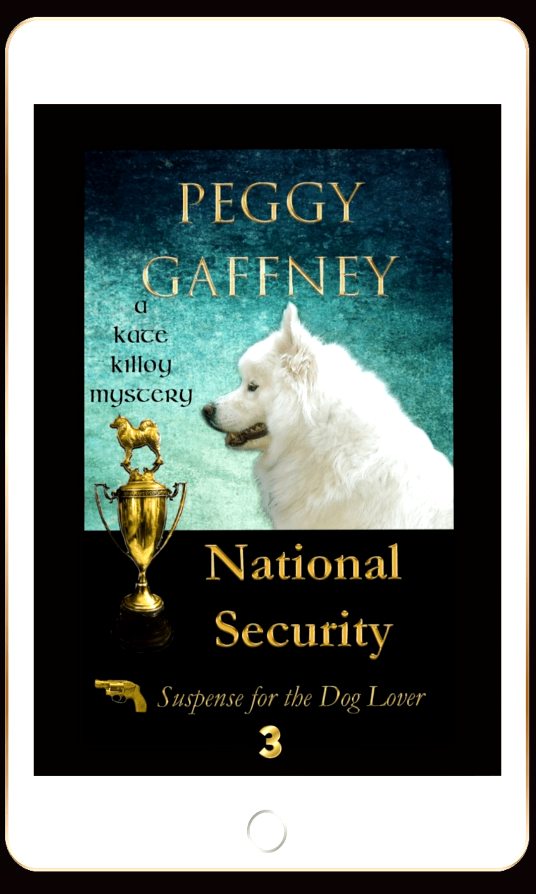 3. National Security: A Kate Killoy Mystery - eBook