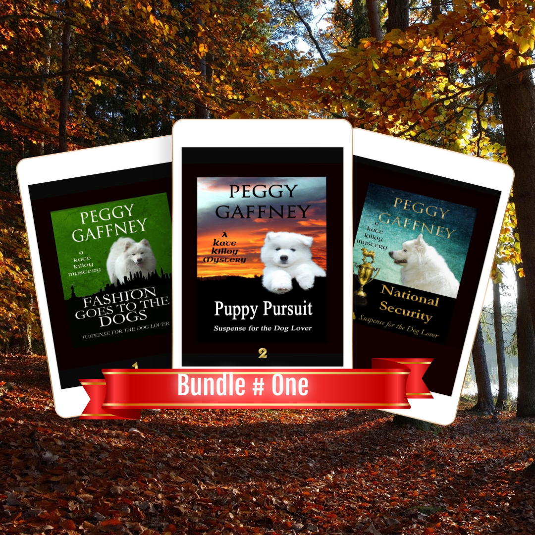 Kate Killoy Mysteries First Book Bundle