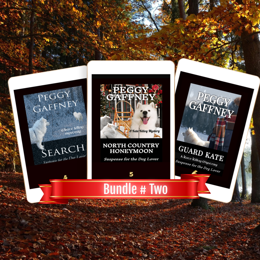 Kate Killoy Mysteries Second eBook Bundle