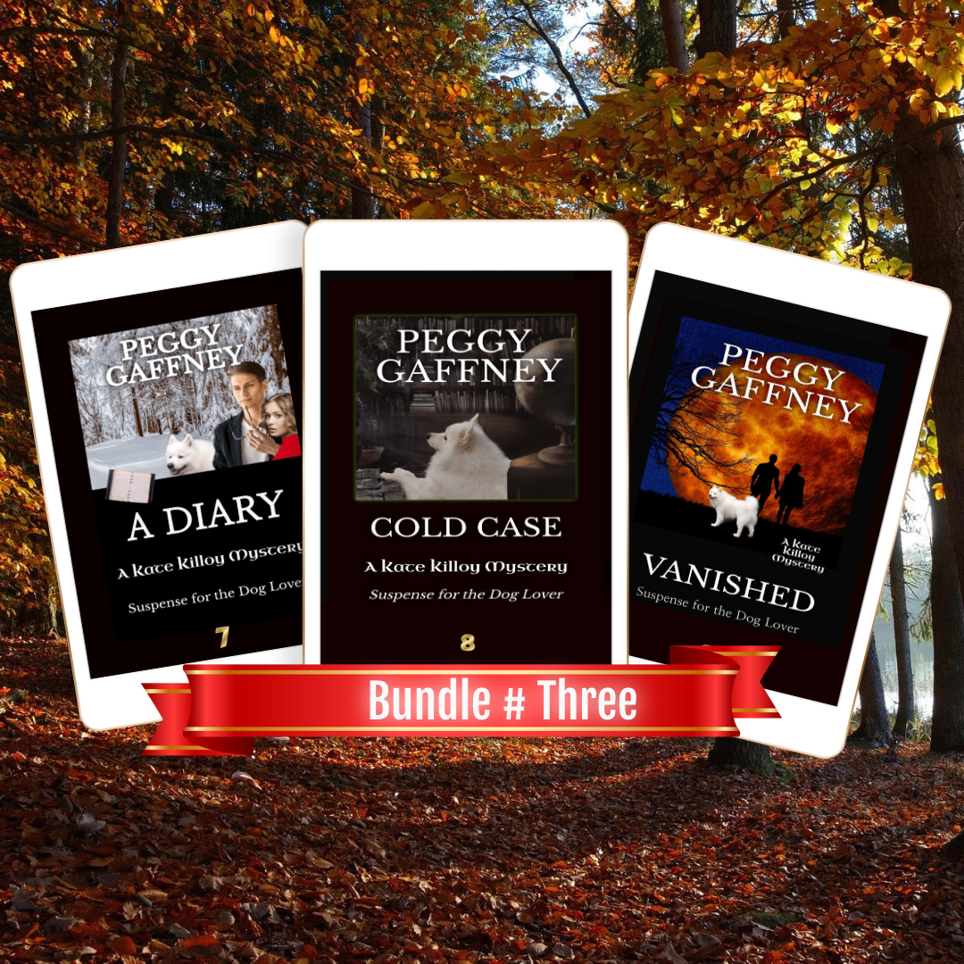 Kate Killoy Mysteries Third Book Bundle