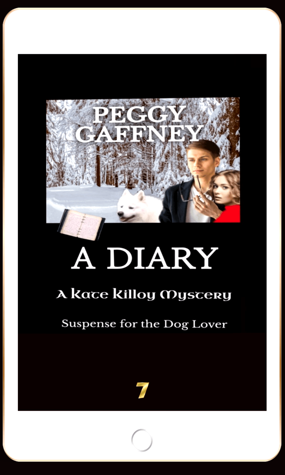 7. A DIARY: A Kate Killoy Mystery - eBook
