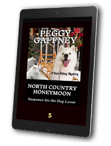 5. North Country Honeymoon: A Kate Killoy Mystery - eBook