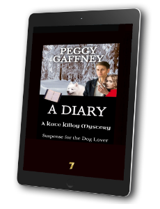 7. A DIARY: A Kate Killoy Mystery - eBook