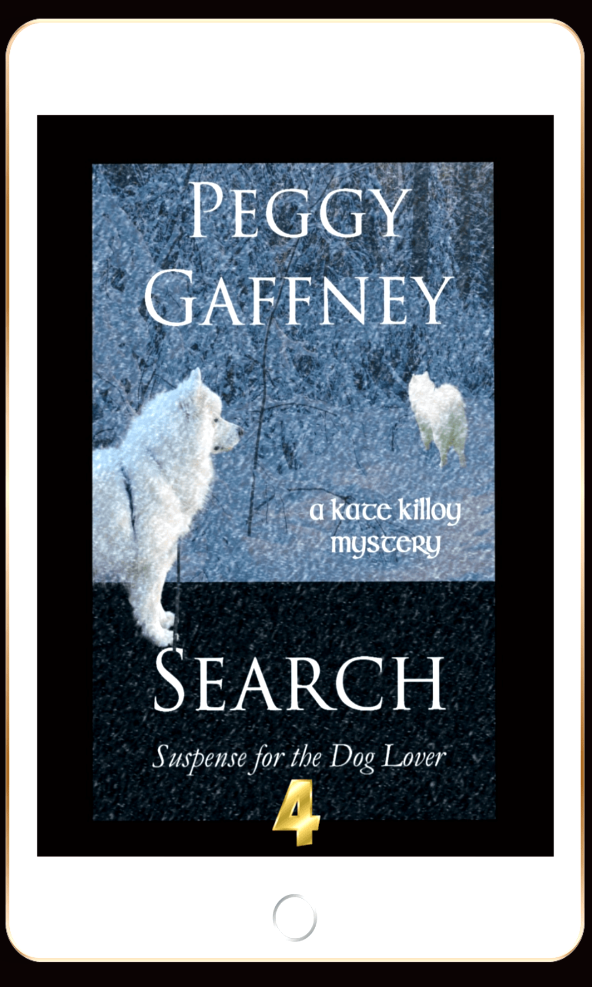 4. Search: A Kate Killoy Mystery - eBook