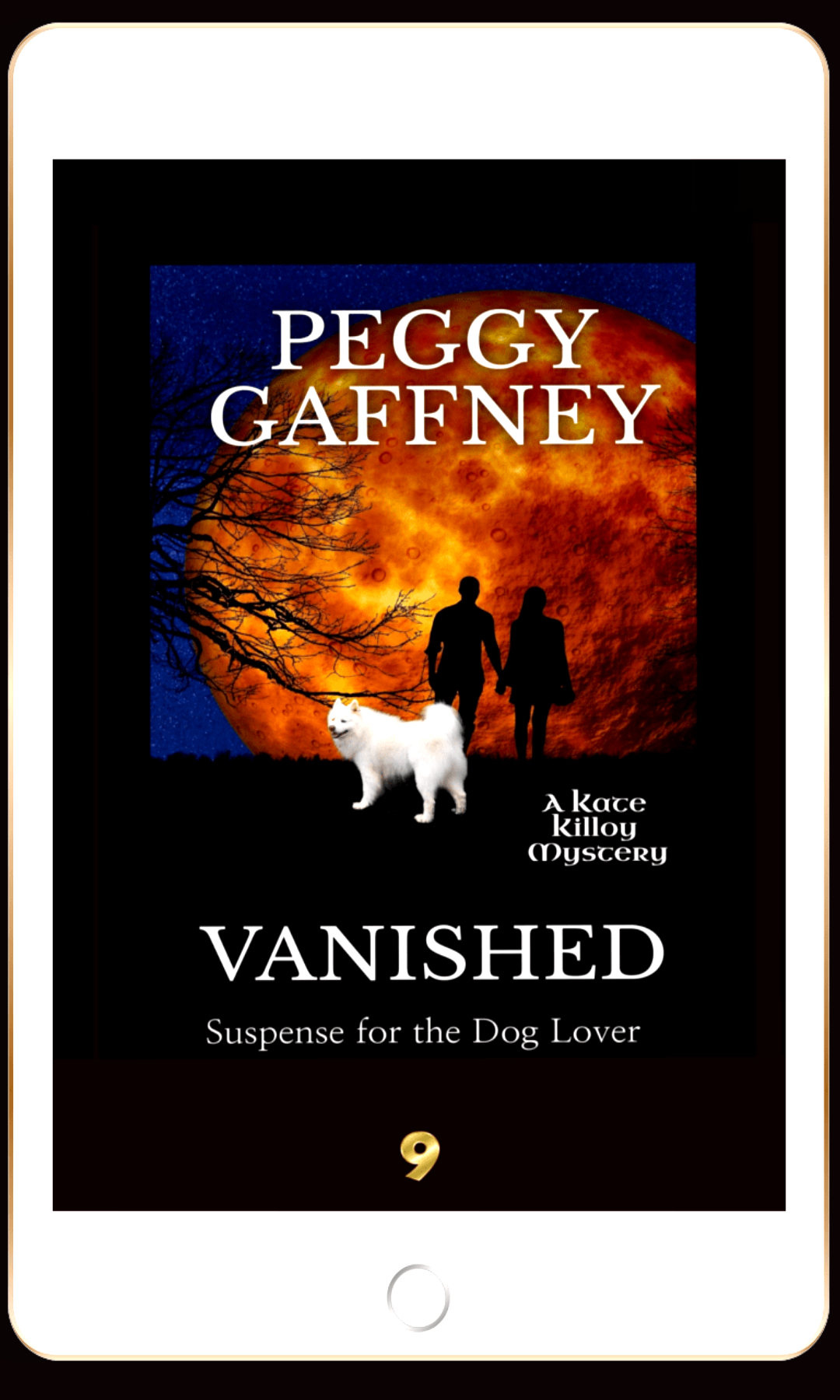 9. Vanished: A Kate Killoy Mystery - eBook