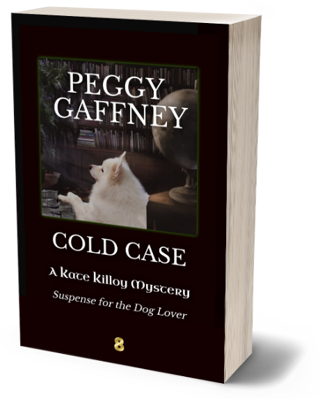 COLD CASE - Paperback