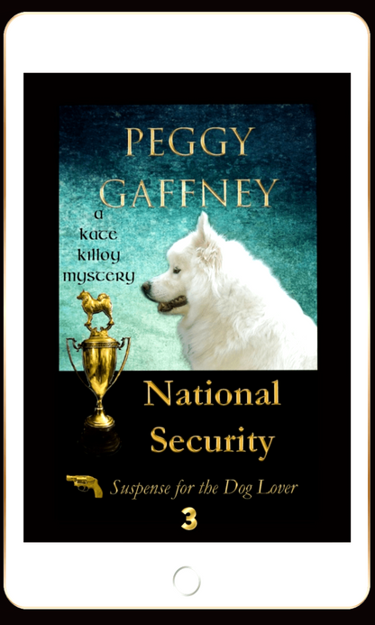 3. National Security: A Kate Killoy Mystery - eBook