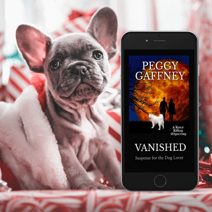 9. Vanished: A Kate Killoy Mystery - eBook