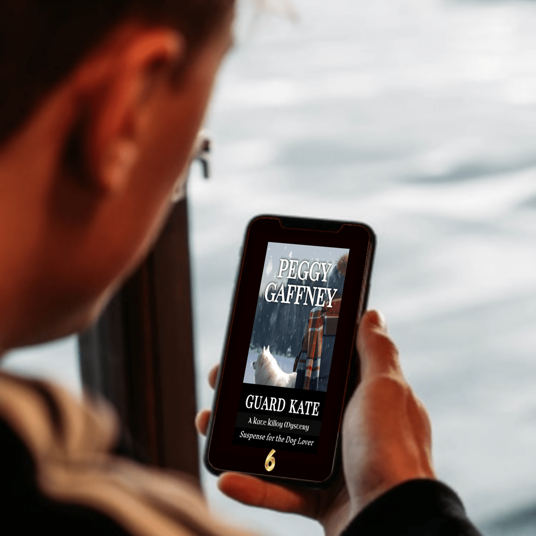 6. GUARD KATE: A Kate Killoy Mystery - eBook