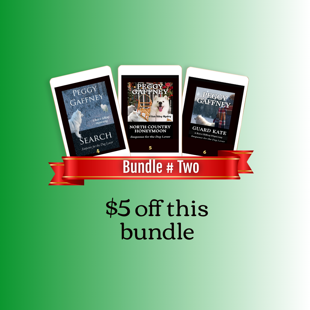 Kate Killoy Mysteries Second eBook Bundle