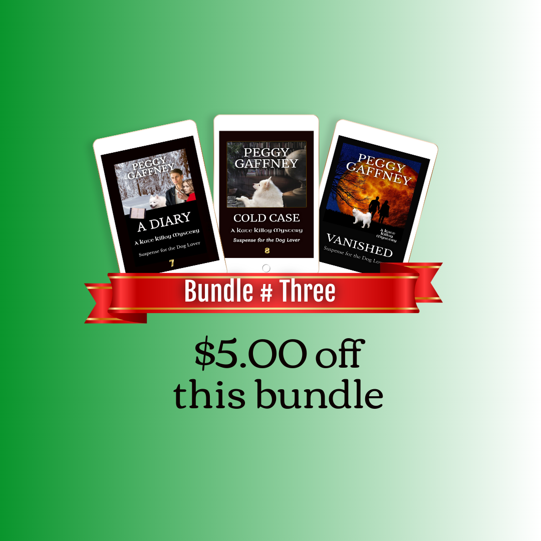 Kate Killoy Mysteries Third Book Bundle