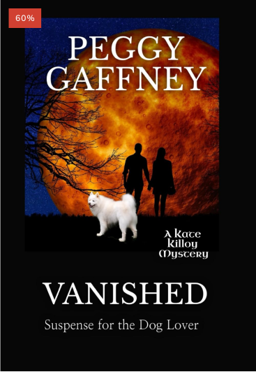 9. Vanished - ebook