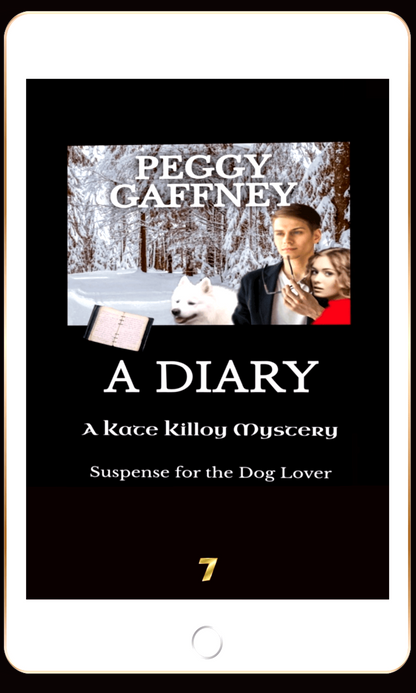 7. A DIARY: A Kate Killoy Mystery - eBook