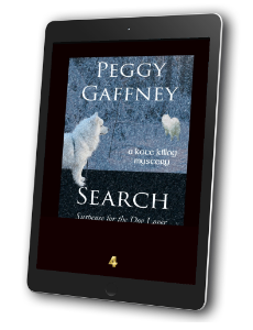 4. SEARCH - Ebook