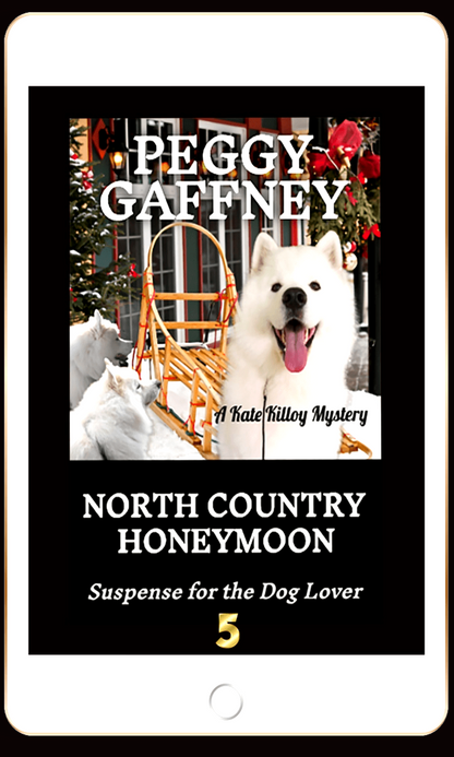 5.  North Country Honeymoon: A Kate Killoy Mystery -  eBook