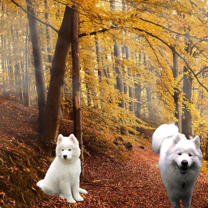 2.  PUPPY PURSUIT: A Kate Killoy Mystery - Ebook