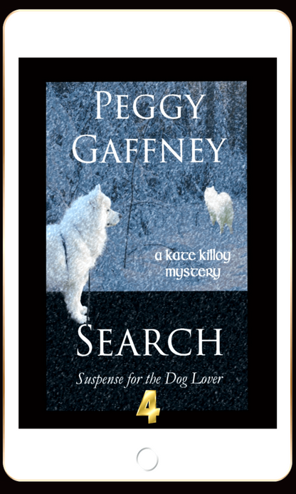 4. Search: A Kate Killoy Mystery - eBook