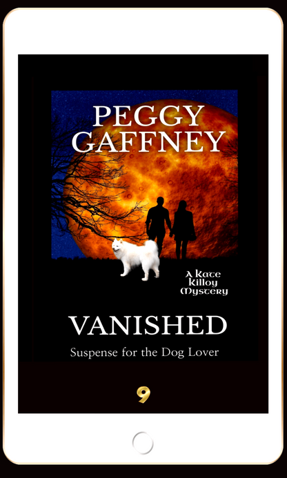 9. Vanished: A Kate Killoy Mystery - eBook